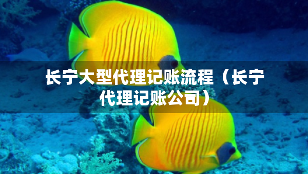 長寧大型代理記賬流程（長寧代理記賬公司）