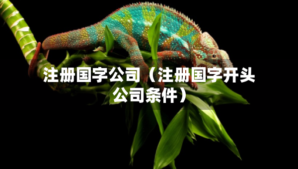 注冊國字公司（注冊國字開頭公司條件）