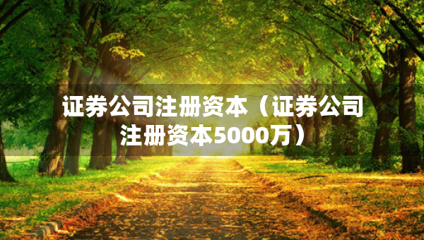 證券公司注冊資本（證券公司注冊資本5000萬）
