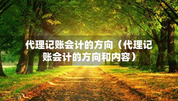 代理記賬會計的方向（代理記賬會計的方向和內(nèi)容）