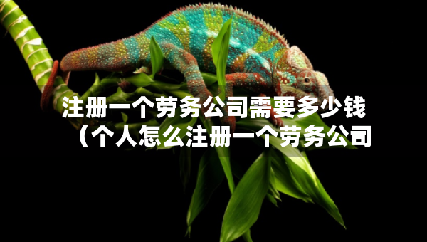 注冊(cè)一個(gè)勞務(wù)公司需要多少錢(qián)（個(gè)人怎么注冊(cè)一個(gè)勞務(wù)公司）