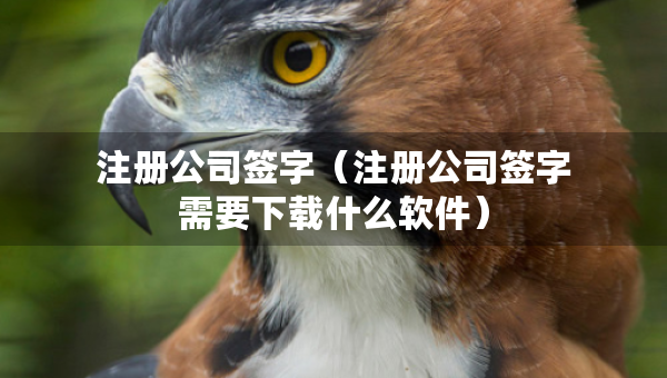 注冊公司簽字（注冊公司簽字需要下載什么軟件）
