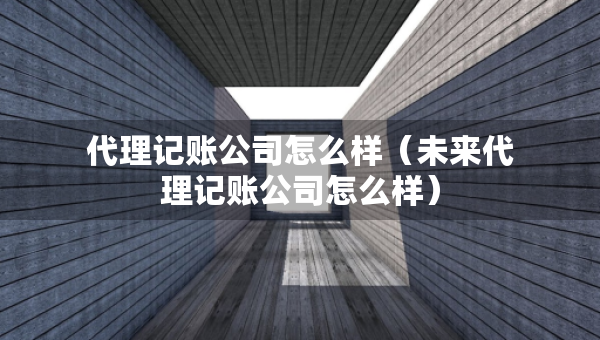 代理記賬公司怎么樣（未來(lái)代理記賬公司怎么樣）