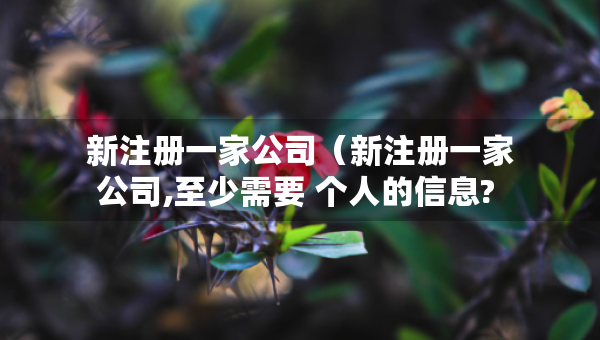 新注冊(cè)一家公司（新注冊(cè)一家公司,至少需要 個(gè)人的信息? ）
