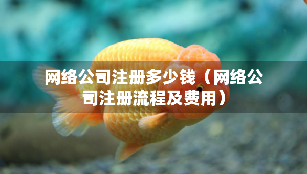 網(wǎng)絡(luò)公司注冊多少錢（網(wǎng)絡(luò)公司注冊流程及費(fèi)用）
