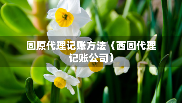 固原代理記賬方法（西固代理記賬公司）
