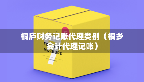 桐廬財務(wù)記賬代理類別（桐鄉(xiāng)會計代理記賬）
