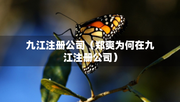 九江注冊公司（鄭爽為何在九江注冊公司）