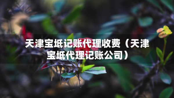 天津?qū)氎嬗涃~代理收費（天津?qū)氎娲碛涃~公司）