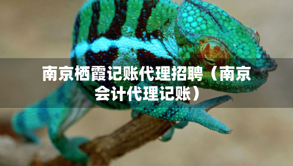 南京棲霞記賬代理招聘（南京會(huì)計(jì)代理記賬）