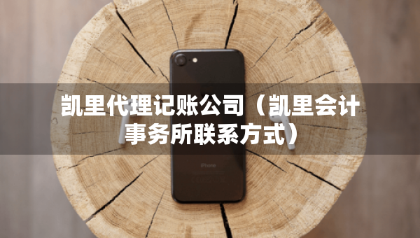 凱里代理記賬公司（凱里會(huì)計(jì)事務(wù)所聯(lián)系方式）