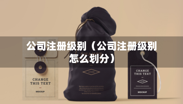 公司注冊(cè)級(jí)別（公司注冊(cè)級(jí)別怎么劃分）