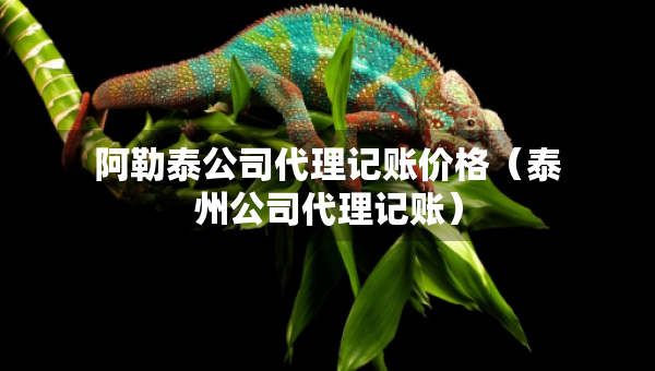 阿勒泰公司代理記賬價格（泰州公司代理記賬）