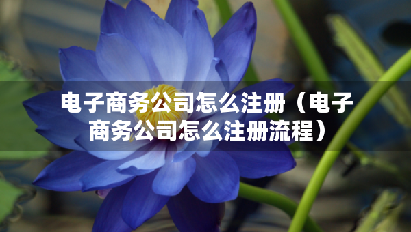 電子商務(wù)公司怎么注冊（電子商務(wù)公司怎么注冊流程）