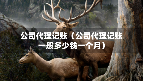 公司代理記賬（公司代理記賬一般多少錢一個月）