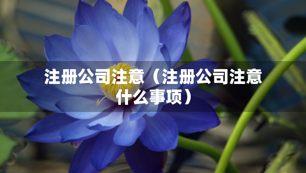 注冊公司注意（注冊公司注意什么事項(xiàng)）