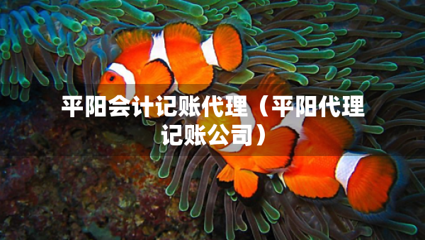 平陽(yáng)會(huì)計(jì)記賬代理（平陽(yáng)代理記賬公司）