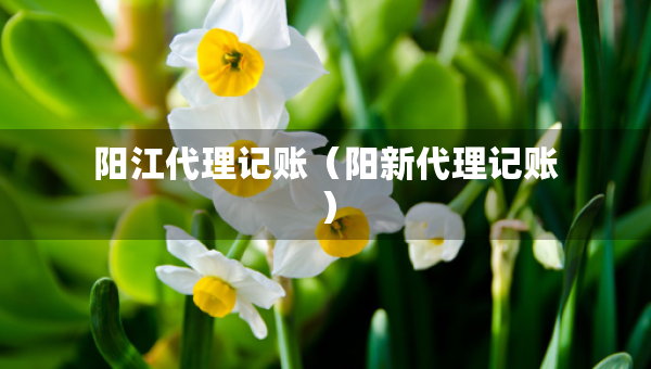 陽江代理記賬（陽新代理記賬）