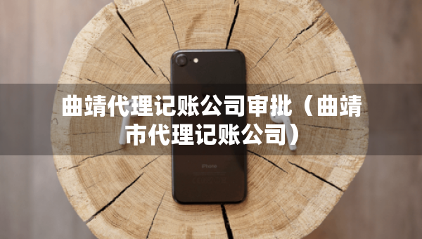 曲靖代理記賬公司審批（曲靖市代理記賬公司）