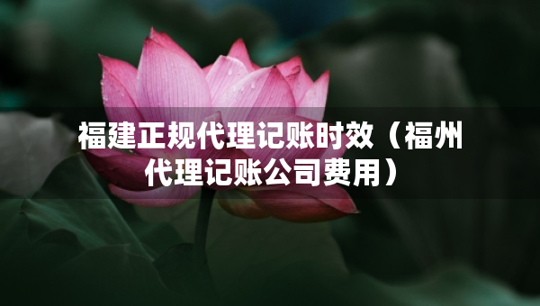 福建正規(guī)代理記賬時(shí)效（福州代理記賬公司費(fèi)用）