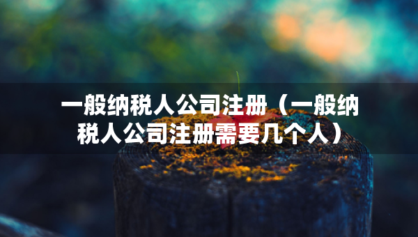 一般納稅人公司注冊（一般納稅人公司注冊需要幾個人）