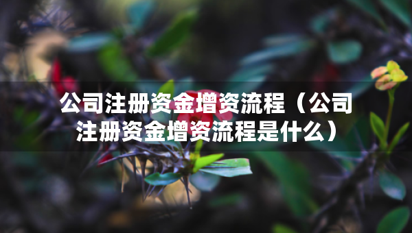 公司注冊(cè)資金增資流程（公司注冊(cè)資金增資流程是什么）