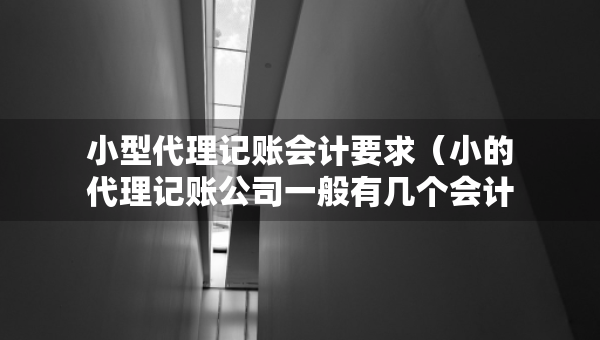 小型代理記賬會計(jì)要求（小的代理記賬公司一般有幾個(gè)會計(jì)）
