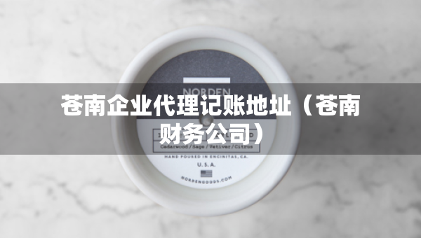 蒼南企業(yè)代理記賬地址（蒼南財務公司）