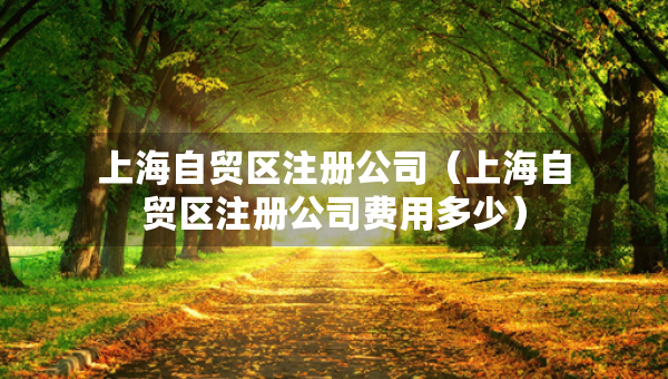 上海自貿(mào)區(qū)注冊(cè)公司（上海自貿(mào)區(qū)注冊(cè)公司費(fèi)用多少）