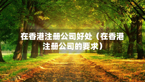 在香港注冊(cè)公司好處（在香港注冊(cè)公司的要求）