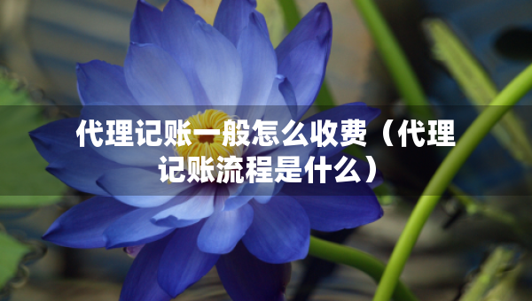 代理記賬一般怎么收費（代理記賬流程是什么）