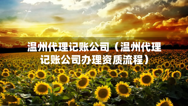 溫州代理記賬公司（溫州代理記賬公司辦理資質(zhì)流程）