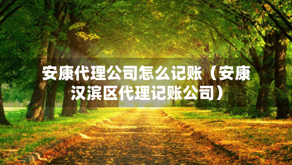 安康代理公司怎么記賬（安康漢濱區(qū)代理記賬公司）