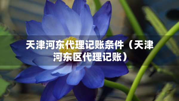 天津河?xùn)|代理記賬條件（天津河?xùn)|區(qū)代理記賬）