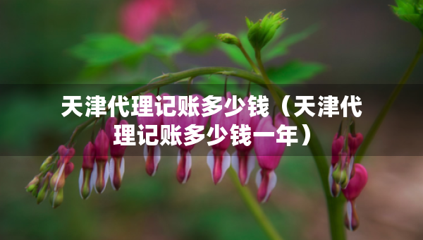 天津代理記賬多少錢（天津代理記賬多少錢一年）