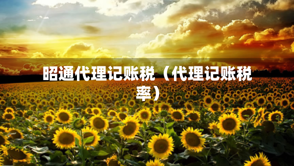昭通代理記賬稅（代理記賬稅率）