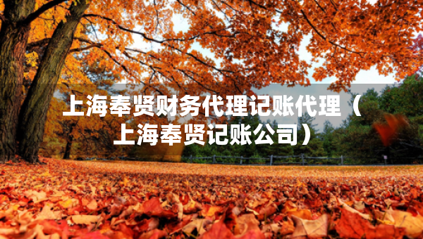 上海奉賢財務(wù)代理記賬代理（上海奉賢記賬公司）
