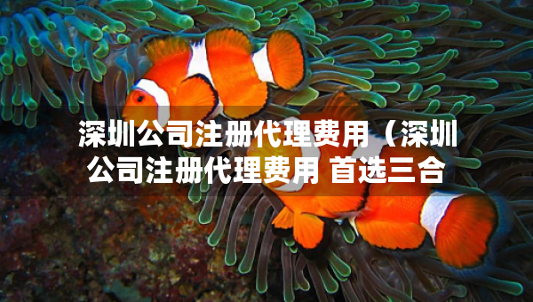 深圳公司注冊(cè)代理費(fèi)用（深圳公司注冊(cè)代理費(fèi)用 首選三合一企服）