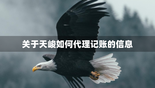 關于天峻如何代理記賬的信息