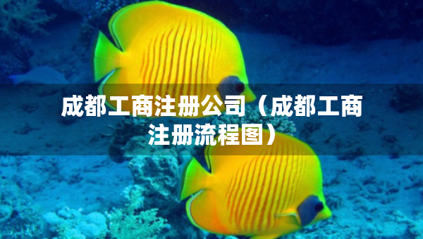 成都工商注冊(cè)公司（成都工商注冊(cè)流程圖）