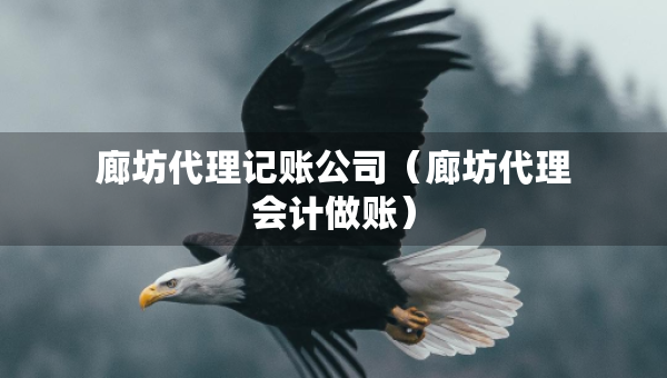 廊坊代理記賬公司（廊坊代理會計做賬）