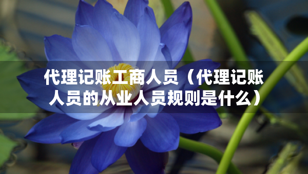 代理記賬工商人員（代理記賬人員的從業(yè)人員規(guī)則是什么）