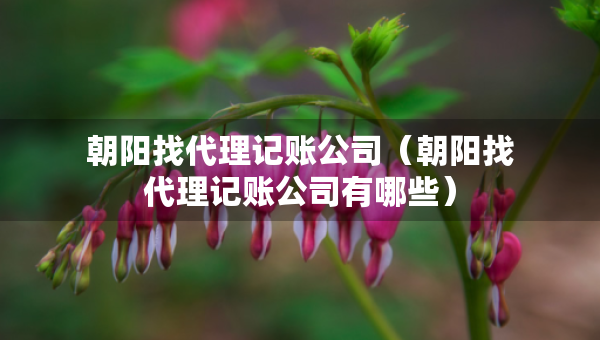 朝陽(yáng)找代理記賬公司（朝陽(yáng)找代理記賬公司有哪些）