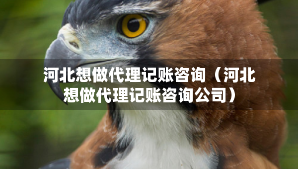 河北想做代理記賬咨詢（河北想做代理記賬咨詢公司）
