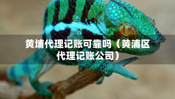 黃埔代理記賬可靠嗎（黃浦區(qū)代理記賬公司）