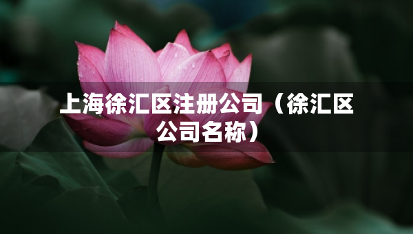 上海徐匯區(qū)注冊公司（徐匯區(qū)公司名稱）
