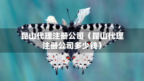 昆山代理注冊(cè)公司（昆山代理注冊(cè)公司多少錢）