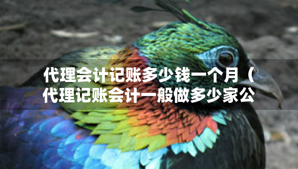 代理會計記賬多少錢一個月（代理記賬會計一般做多少家公司）
