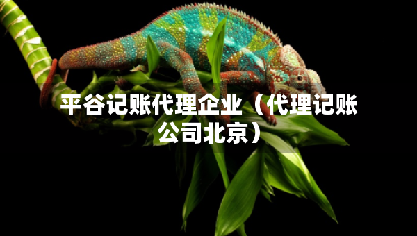 平谷記賬代理企業(yè)（代理記賬公司北京）