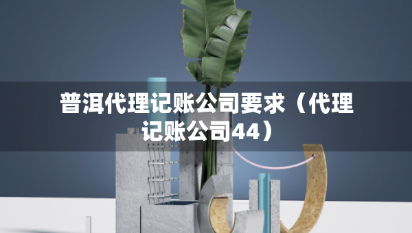 普洱代理記賬公司要求（代理記賬公司44）